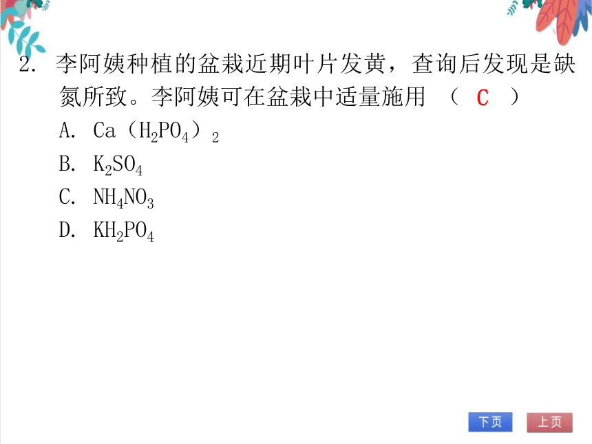 【人教版】化学九年级全一册 第十一单元 盐 化肥 达标测试卷（课件版）