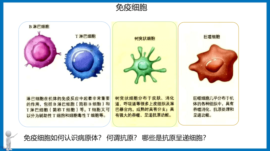 3.1.1 免疫系统的组成和非特异性免疫应答 课件（共20张PPT）