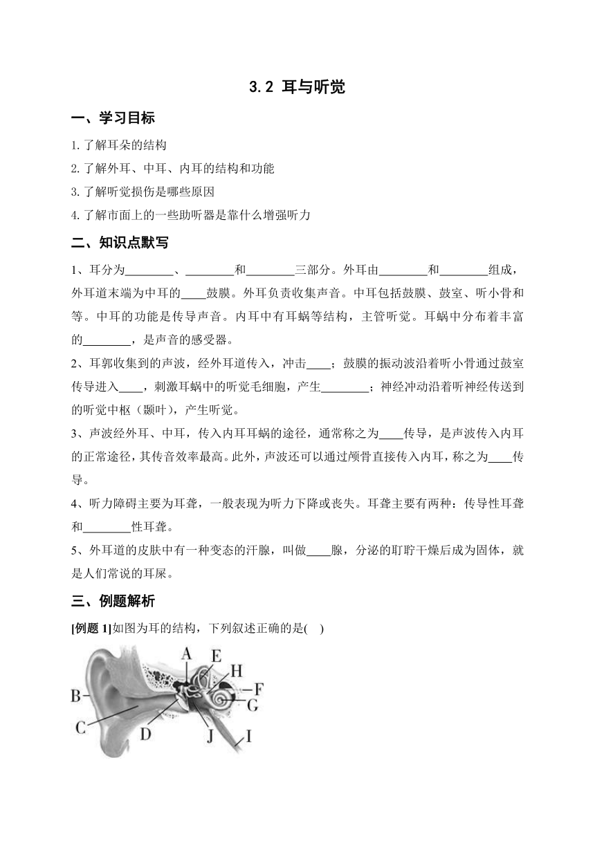 3.2 耳与听觉  学案（含解析）