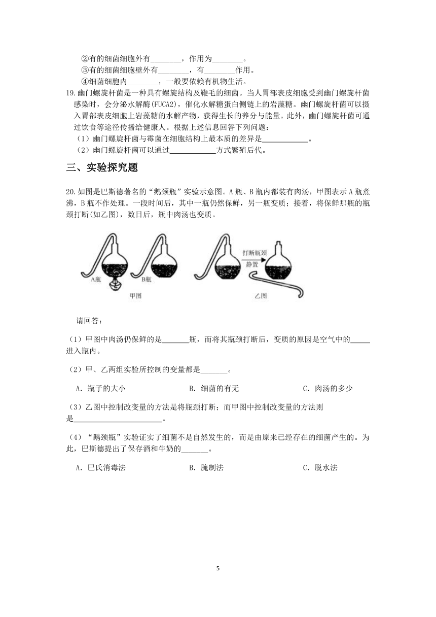 浙教版2022-2023学年第二学期七年级科学”一课一练：1.6细菌和真菌的繁殖【word，含答案解析】