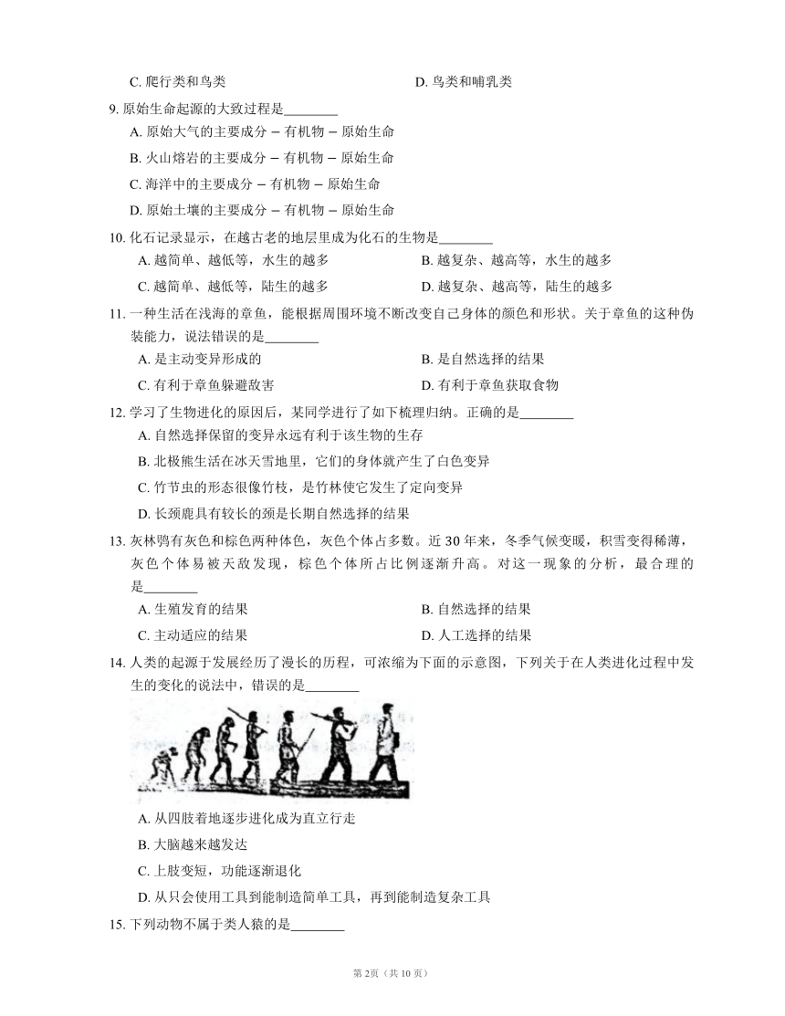 北京课改版八上 第十二章 生命的起源和生物的进化单元测试（含解析）