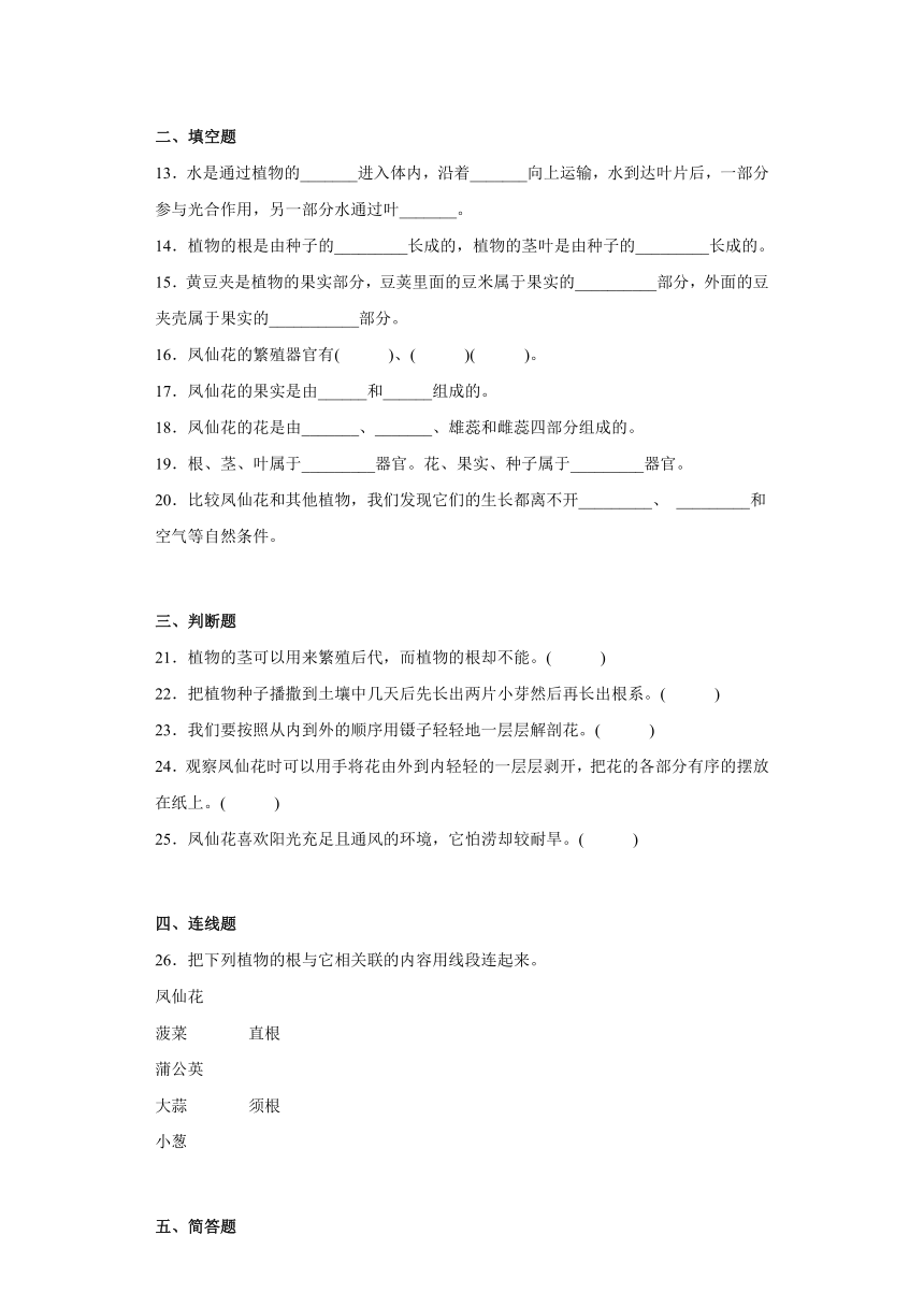 人教鄂教版（2017秋）三年级科学下册第二单元综合测试卷种凤仙花（一）含答案