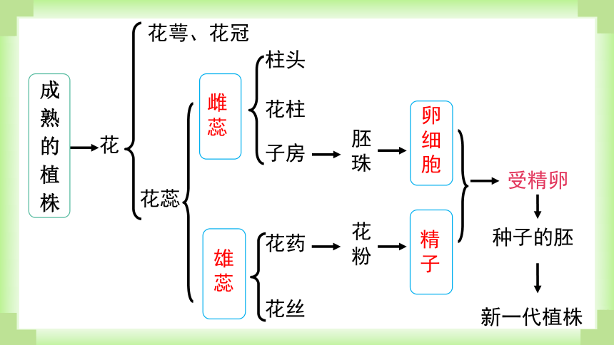 人教版生物八年级下册7.1.1植物的生殖课件(共51张PPT)