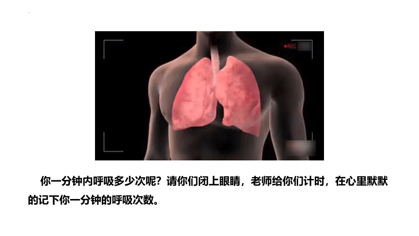 4.3.2发生在肺内的气体交换课件(共26张PPT+内嵌视频1个) 人教版生物七年级下册
