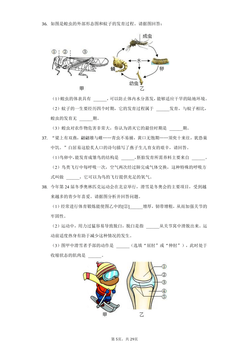 2021-2022学年广西玉林市容县八年级（下）期中生物试卷（word版，含解析）