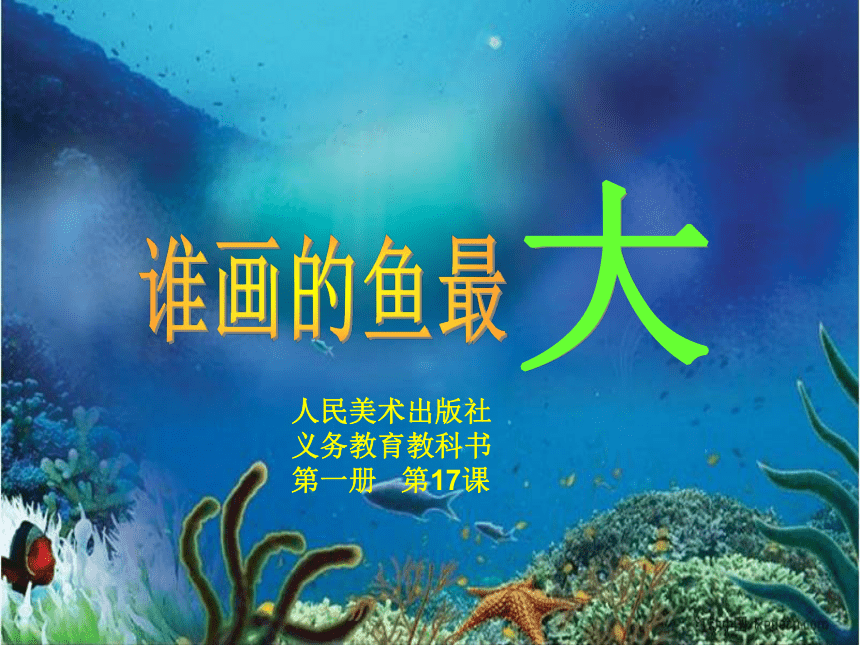 美术一年级上册人美版 第17课 谁画的鱼最大 （课件）（22ppt）