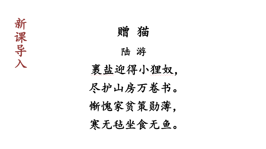 部编版七年级语文上册课(共41张PPT)件--16  猫