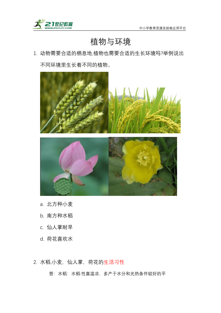 1.4.植物与环境 知识梳理