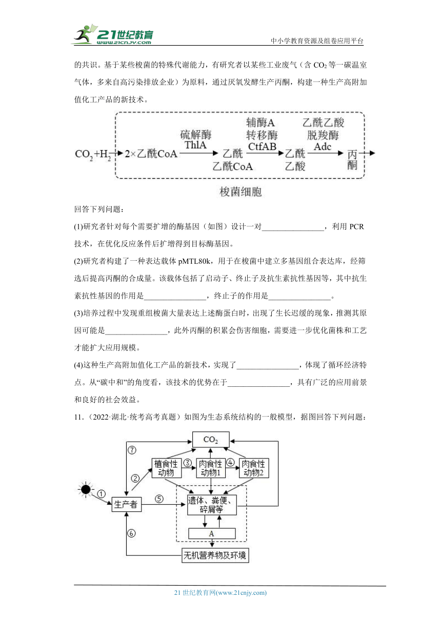 五年2018-2022高考生物真题按知识点分类汇编79-生物与环境-生态系统的物质循环（含解析）