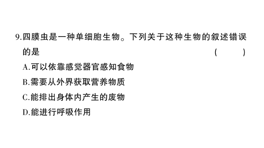 湖南吉首市第二初级中学2022-2023学年七年级生物上册期末综合检测卷课件（41张PPTt)