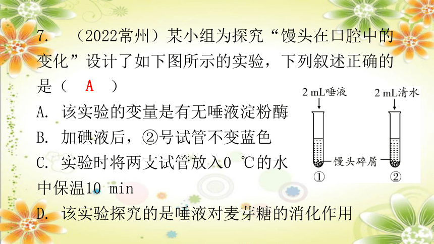 北师大版七年级生物下册 第8章 人体的营养 章节总结习题课件(共30张PPT)