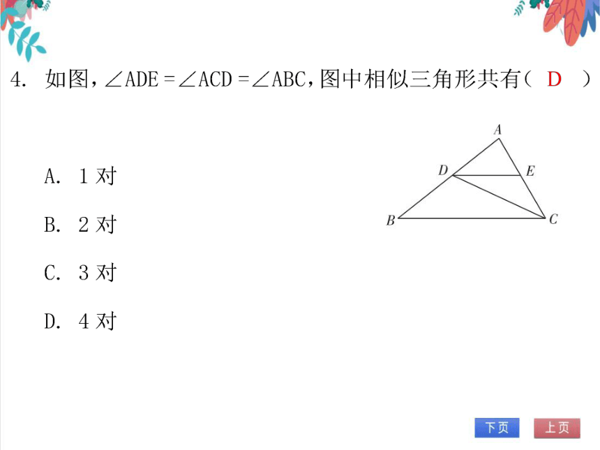 【北师大版】数学九年级（上）4.4.3 相似三角形的判定综合 习题课件