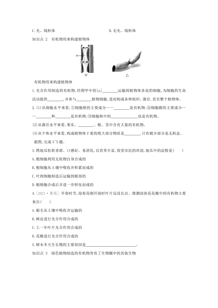 人教版生物学七年级上册同步练习：3.4绿色植物是生物圈中有机物的制造者(word版含答案）