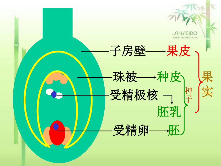 初中生物济南版八年级上册本册综合生物八年级上册总复习(济南版).ppt（160张PPT）