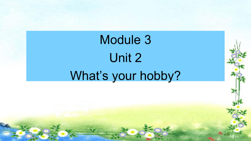 Module 3 Unit 2 What’s your hobby? 课件(41张PPT)