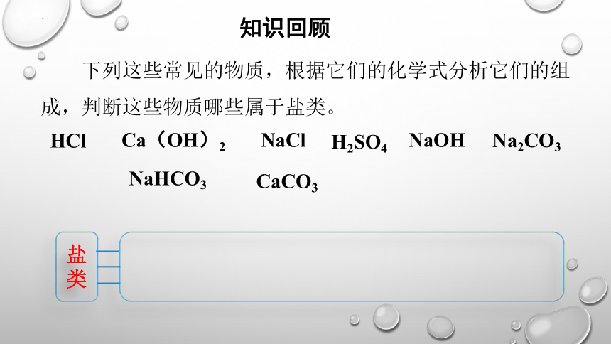 第十一单元课题1 生活中常见的盐（一）课件(共38张PPT)-2023-2024年九年级化学人教版下册