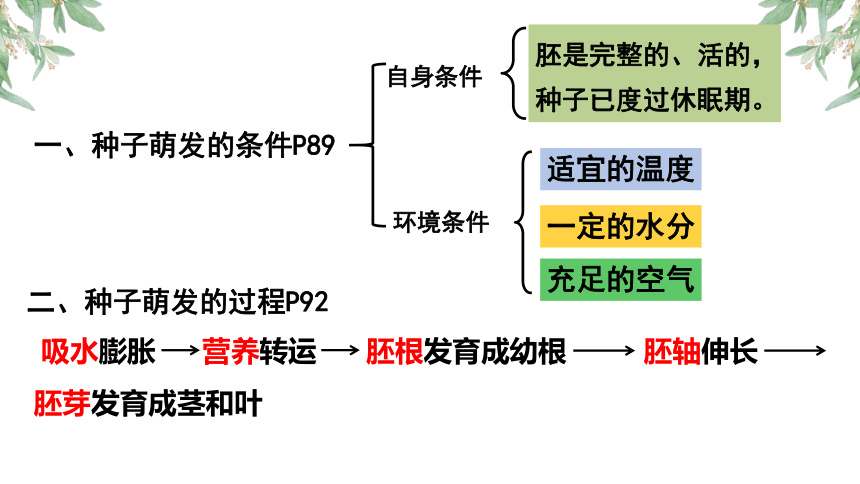 生物人教版七年级上册复习课件（三）(共32张PPT)（全册共3节复习课件）