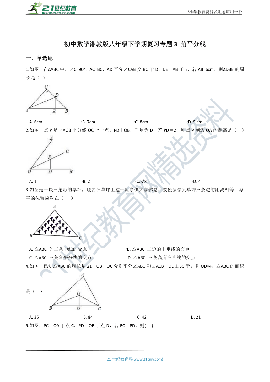 湘教版八年级下学期复习专题3 角平分线（含解析）