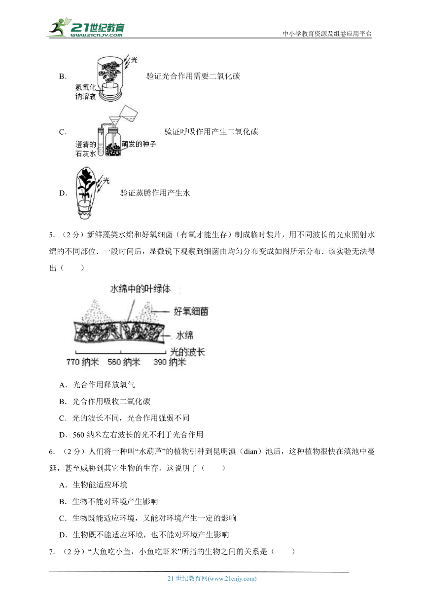 苏科版生物七年级上册期中质量检测模拟题（二）（含解析）