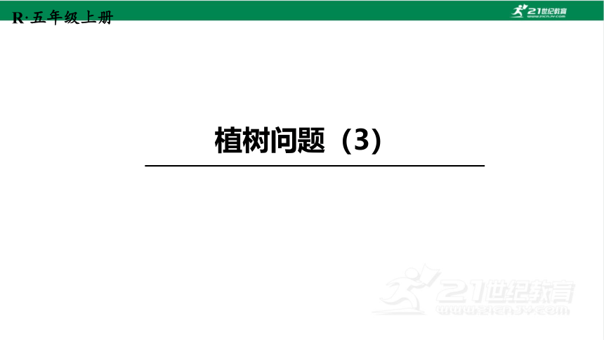 新人教版数学五年级上册7.3.植树问题（3）课件(23张PPT)