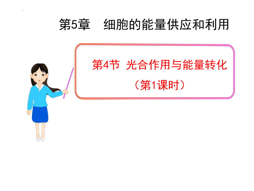 5.4.1光合作用与能量转化课件（14张）2022-2023学年高一上学期生物人教版必修1