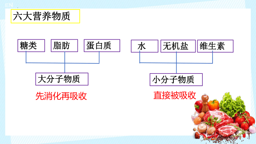 4.2.2 消化和吸收（一）课件 (共19张PPT)人教版生物七年级下册