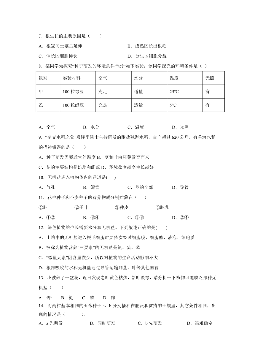 3.2被子植物的一生单元练习卷 （word版含答案）