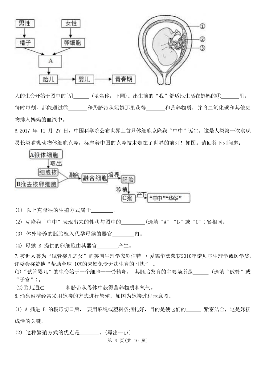 解答题2-期中分题型复习（第1章 代代相传的生命 含解析）