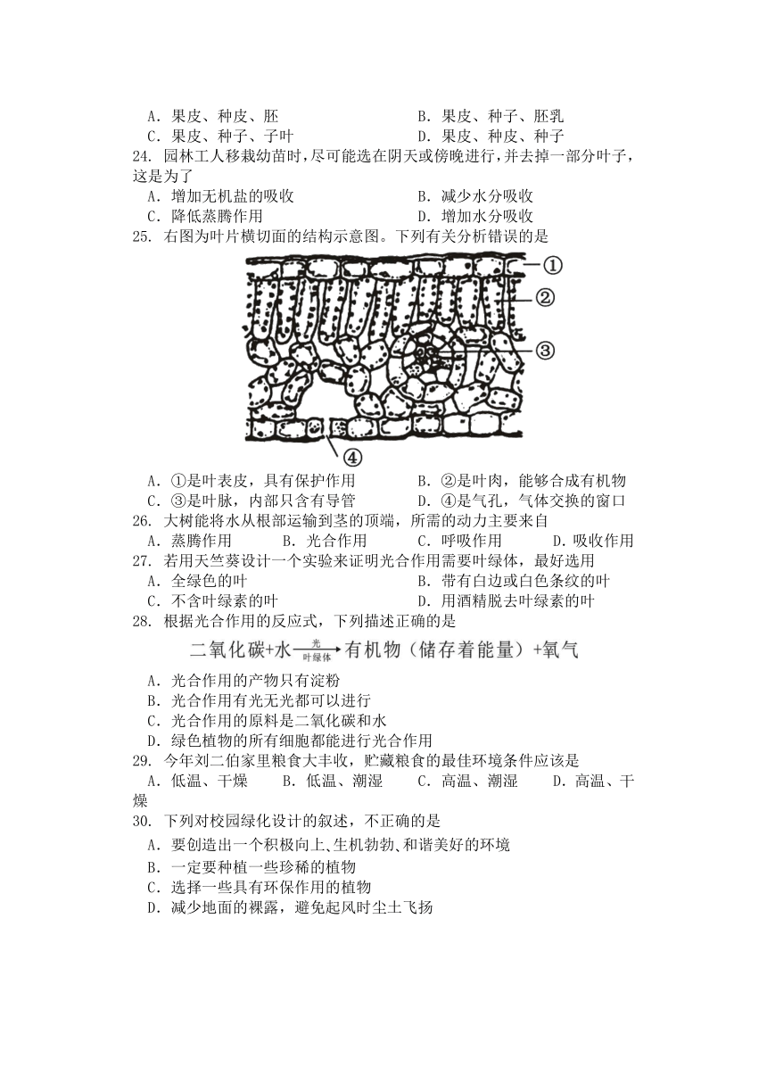 广东省汕头市龙湖实验中学2022-2023学年七年级下学期开学考试生物试题（含答案）