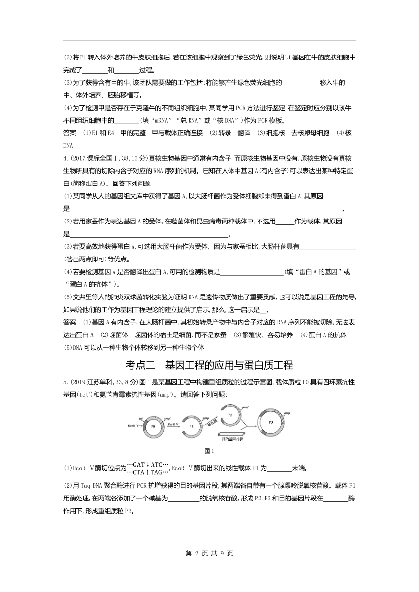 生物高考真题专项汇编：专题25基因工程与蛋白质工程(含答案）