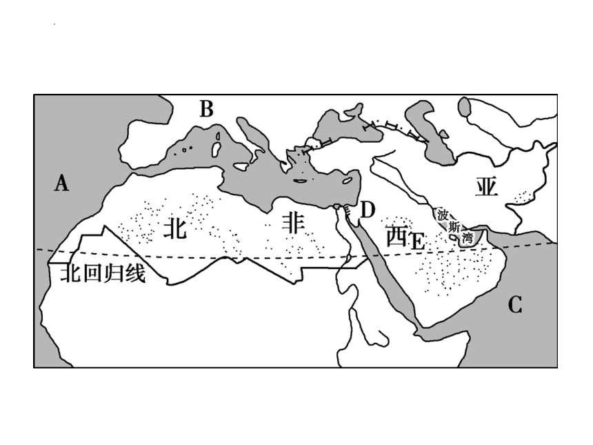 3.1《人种与人口》 第一课时 课件(共17张PPT)2022-2023学年中图版地理八年级上册