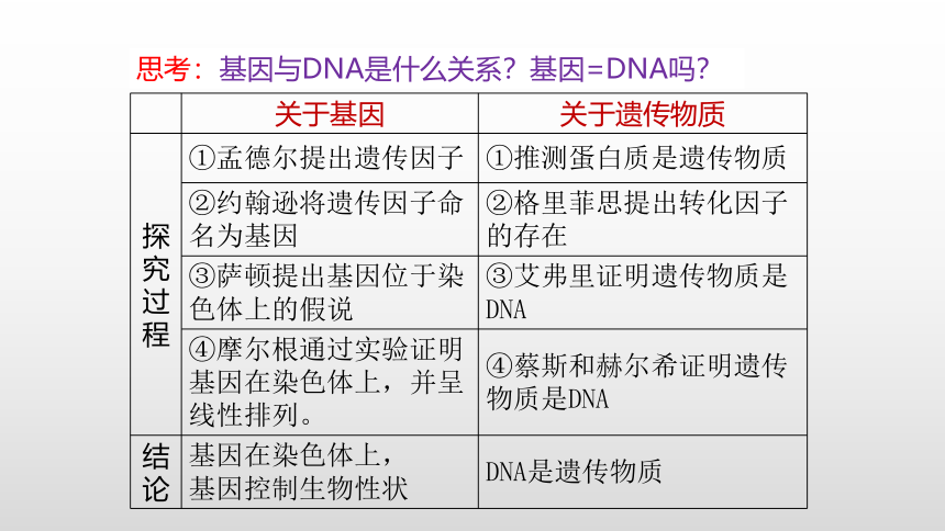 生物人教版（2019）必修2-3.4 基因通常是有遗传效应的DNA片段课件（35张PPT）