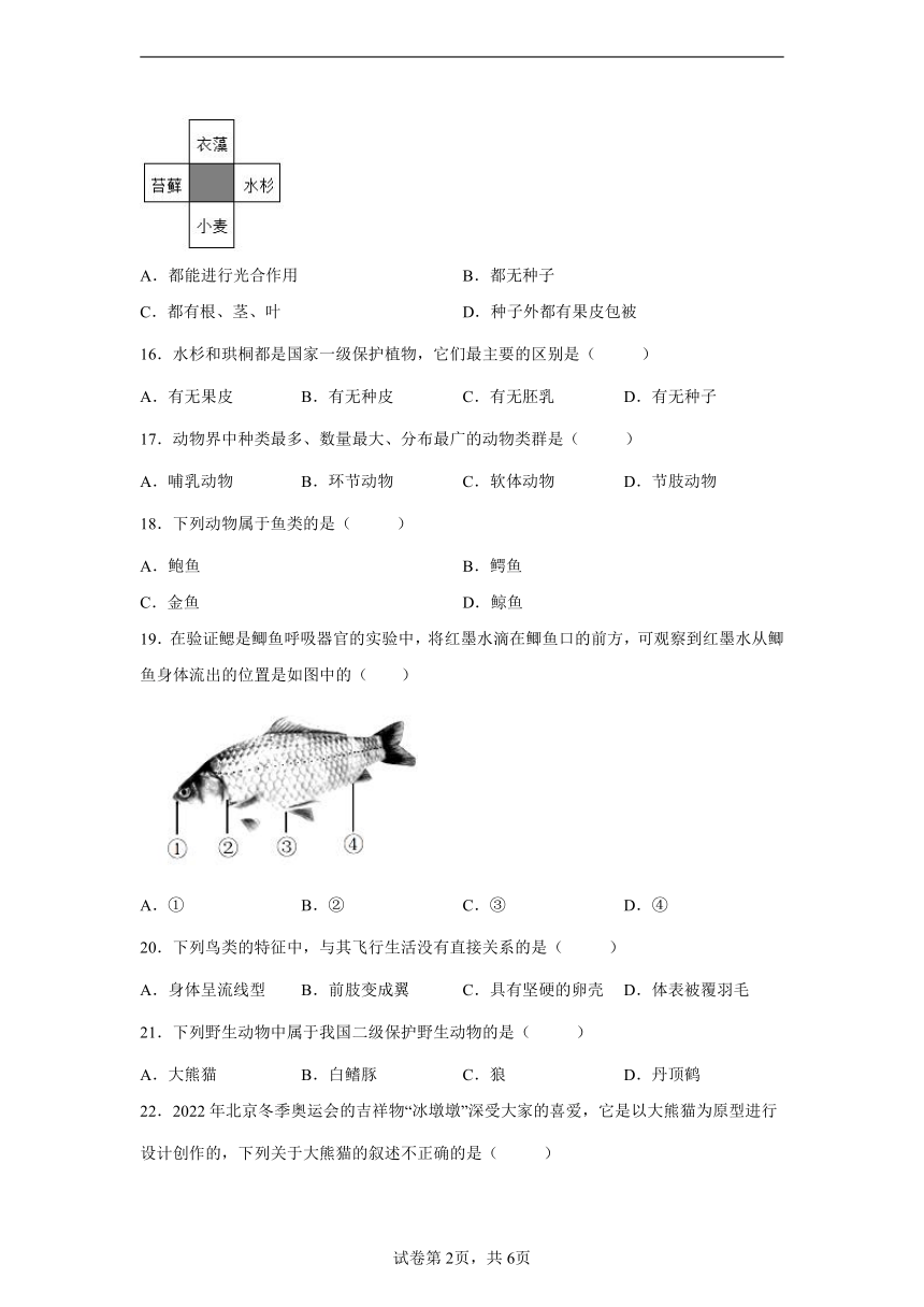 江苏省南京市竹山中学2022-2023学年八年级上学期第一次月考生物试题（含解析）