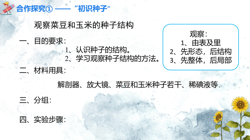 3.1.2 种子植物(第一课时)课件(共19张PPT+内嵌视频1个)2022-2023学年人教版生物七年级上册