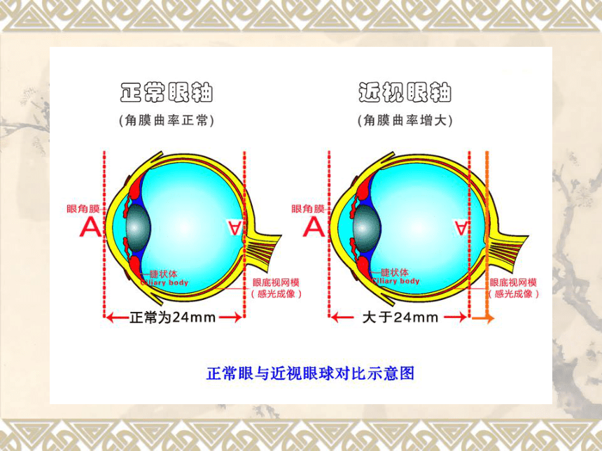 保护我们的眼睛（课件，40张PPT） 综合实践活动五年级上册 教科版