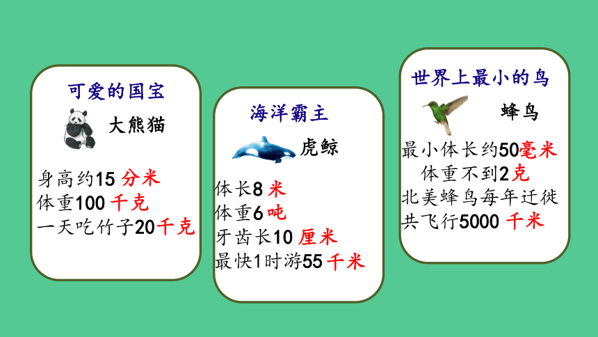 （2023秋新插图）人教版三年级数学上册 3 测量 整理与复习(课件)(共38张PPT)