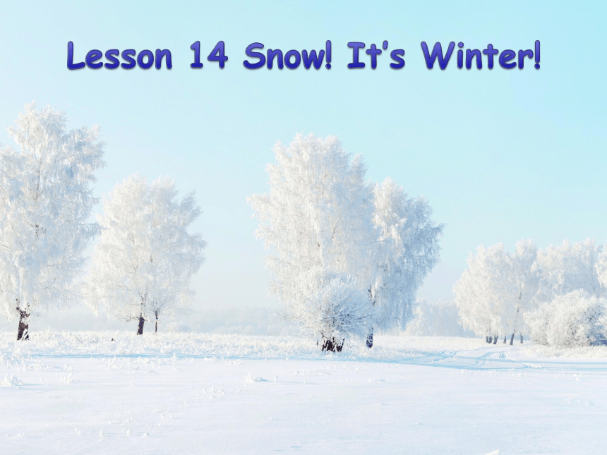 Unit3 Lesson 14 Snow! It’s Winter! 课件(共49张PPT)