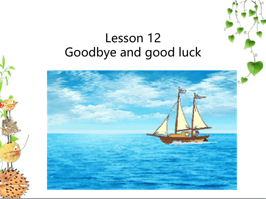 新概念英语第二册Lesson12 Goodbye-and-good-luck课件（25张PPT无素材）