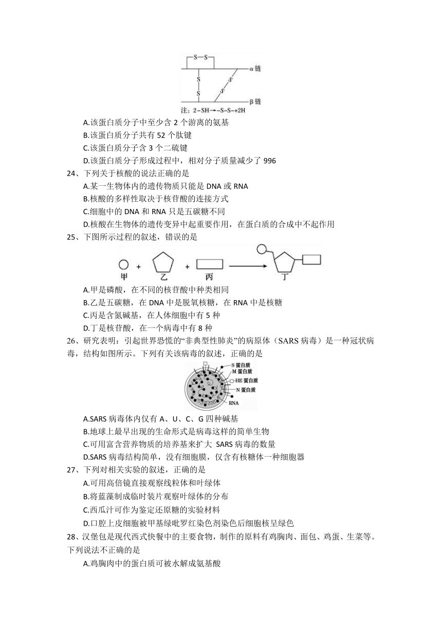 四川省遂宁市射洪重点中学校2021-2022学年高一上学期第三学月考试（普通班）生物试卷（Word版含答案）