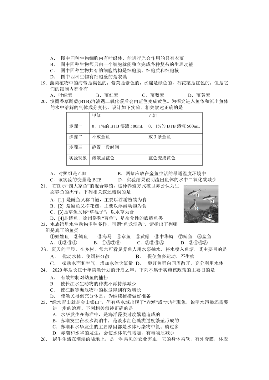 江苏省徐州市贾汪区2022-2023学年七年级下学期期中抽测生物试题（无答案）