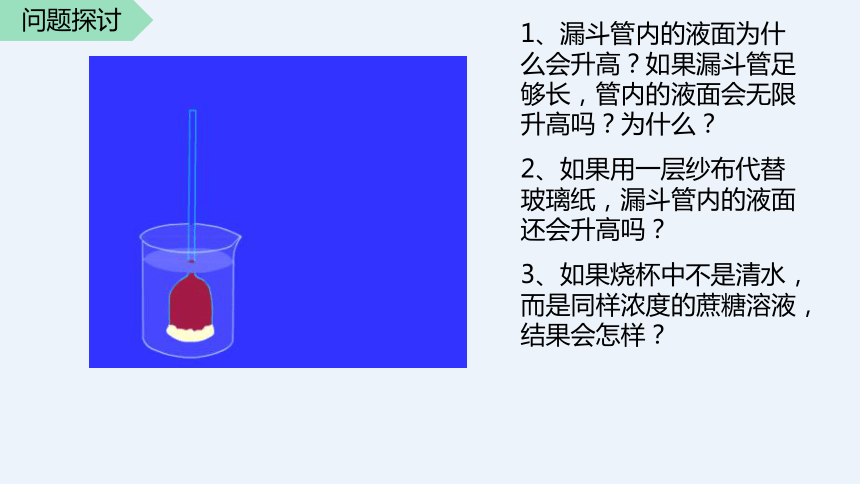 2021—2022学年 高一上学期 人教版（2019）必修1    4.1 被动运输   课件（33张）