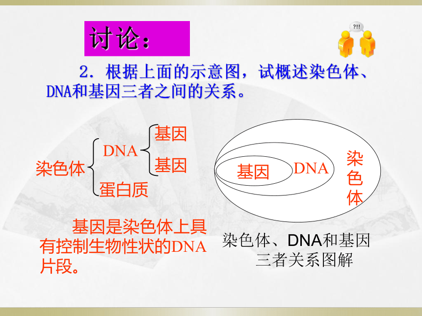 人教版八年级生物下册7.2.2基因在亲子代间的传递 课件（23张ppt）