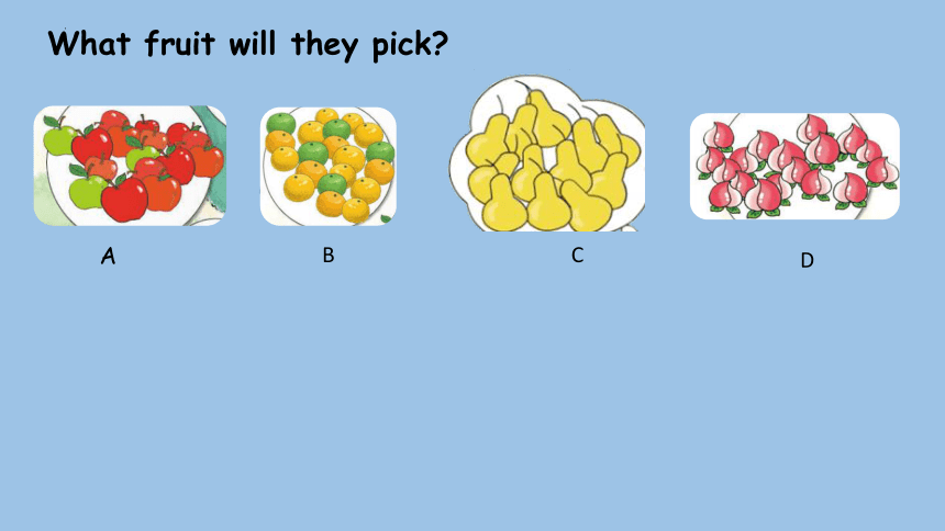 Module 4 Unit 1 We'll pick fruit课件(共20张PPT)