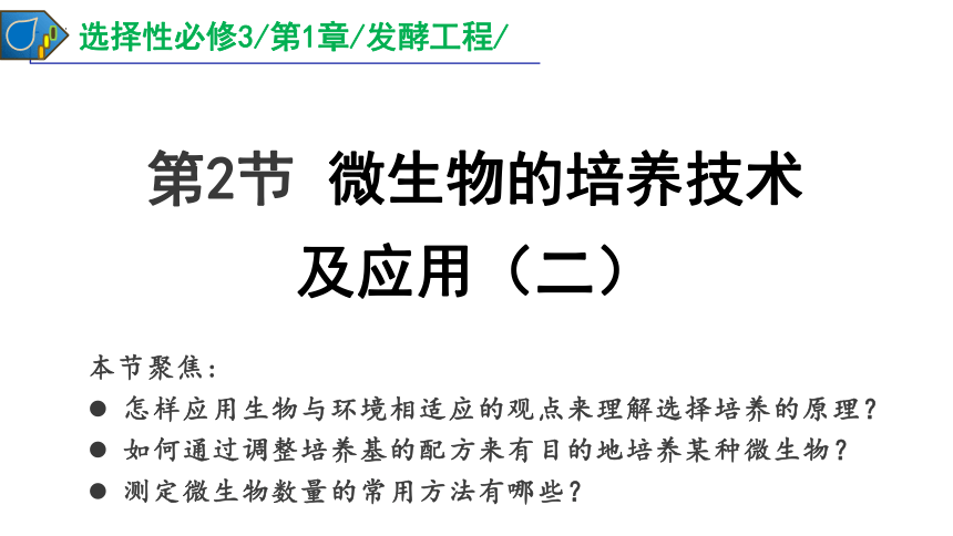 1.2.2微生物的培养技术及应用课件2(共29张PPT)022-2023学年高二下学期生物人教版选择性必修3