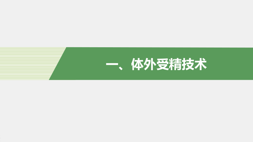 高中生物苏教版（2019）选择性必修3 生物技术与工程 第二章 第四节　第2课时　体外受精技术和胚胎移植、胚胎分割技术（72张PPT）