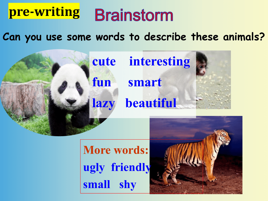 Unit 5Why do you like pandas Section B (3a - 3b)课件(共13张PPT)