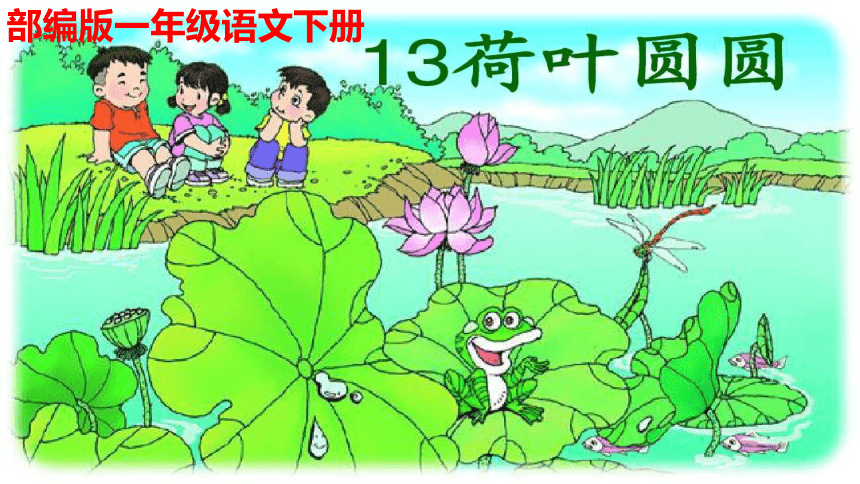 13.《荷叶圆圆》   课件（共20张PPT）