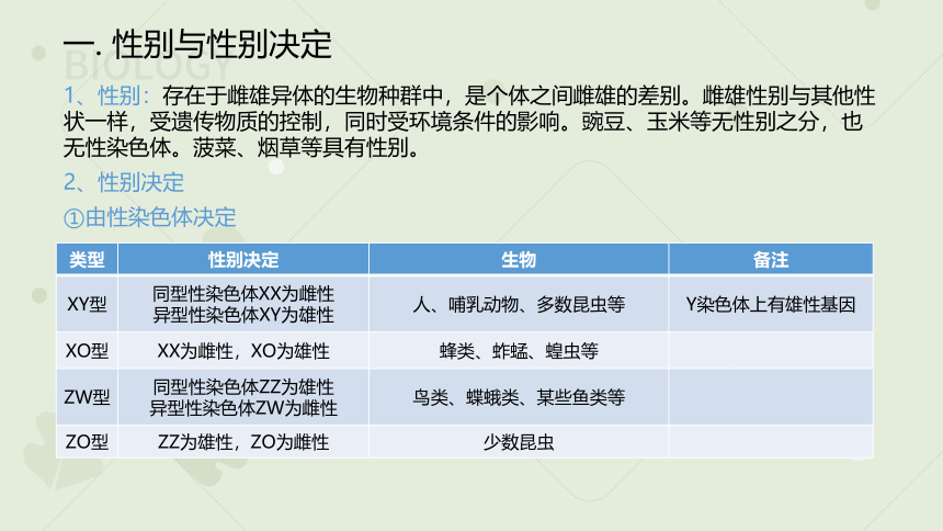 2022-2023学年高一生物人教版（2019）必修二2.3 伴性遗传（教学课件）（24张ppt）