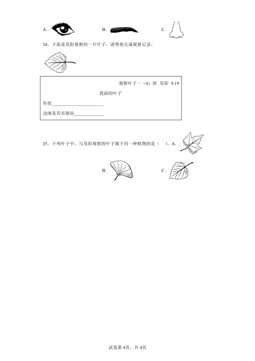 教科版（2017秋）科学 一年级上册 1.4这是谁的叶 同步练习（含答案）