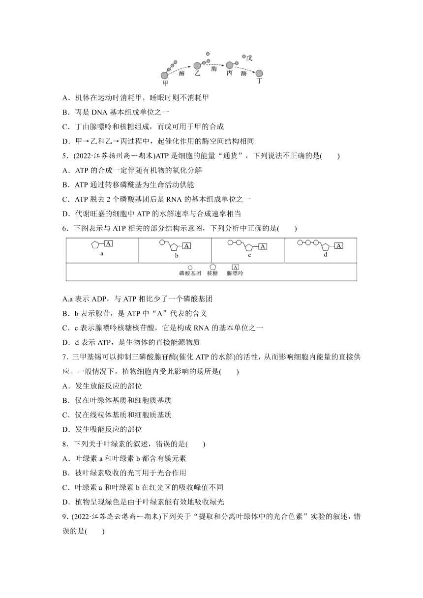 2022-2023学年苏教版2019高中生物必修1 第三章　细胞中能量的转换和利用  章末检测试卷(三)（word版含部分解析）